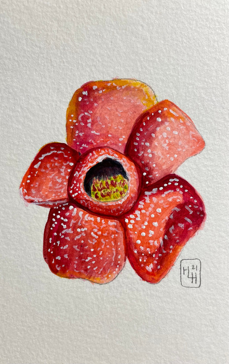 Malodorous Beauty 5x7 Acrylic on watercolor paper HLH Art.jpeg