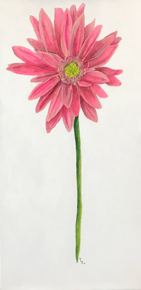 Oopsie Daisy 12x24 Acrylic on Canvas HLH Art