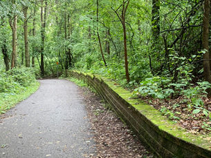 A winding path through a forest
