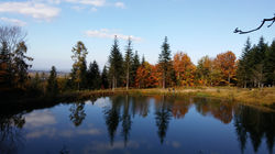 Wilczy Staw