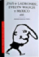 paisdeladrones.jpeg