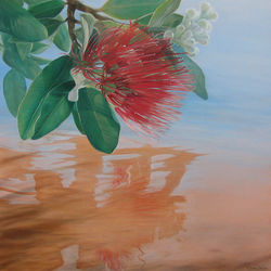 Pohutukawa Reflections