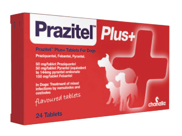 Prazitel Plus Dog Wormer