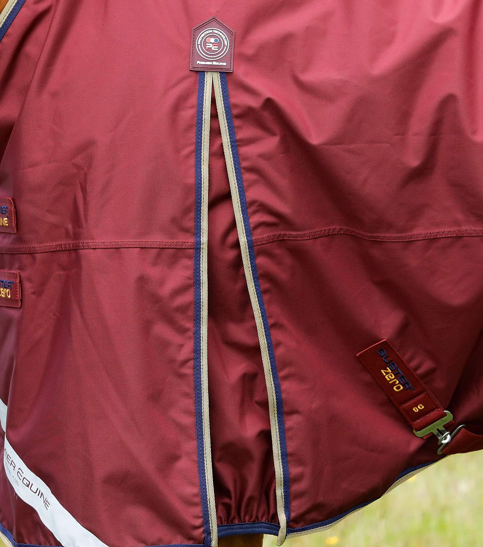 Thumbnail: Premier Equine Buster Zero Turnout