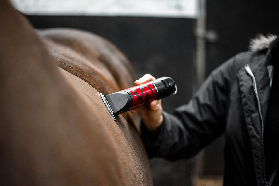 Thumbnail: Liveryman Harmony Plus Clippers