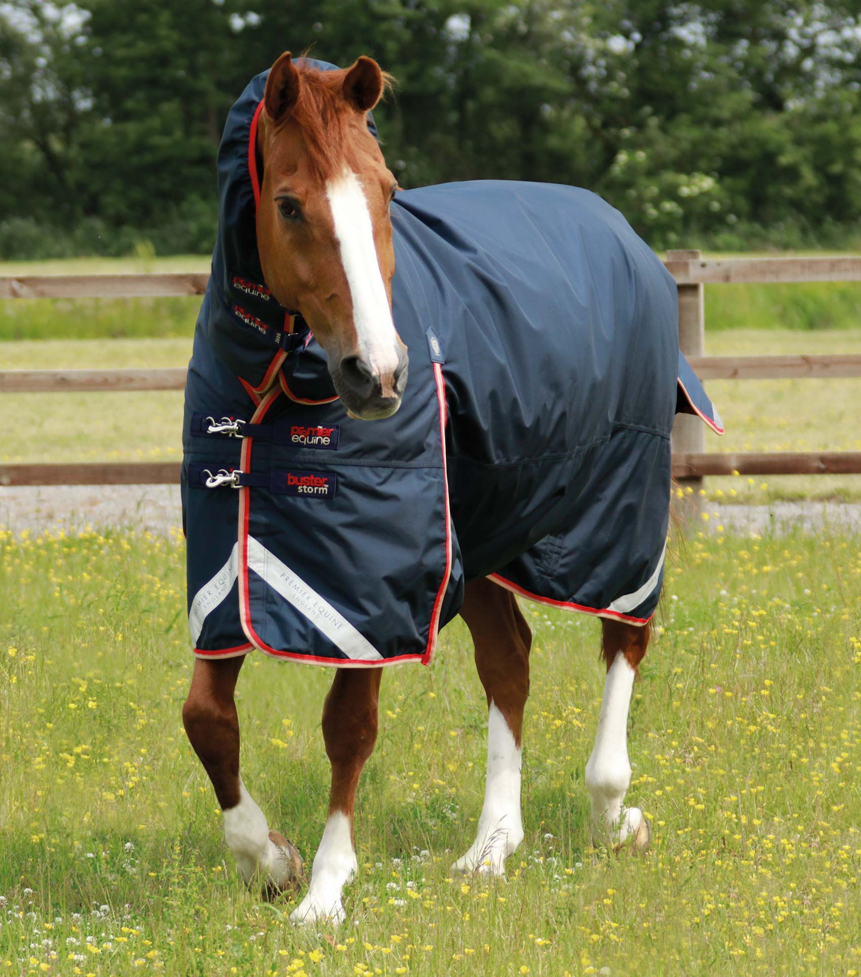 Premier Equine Buster Storm 200g Turnout with Snug Fit Neck