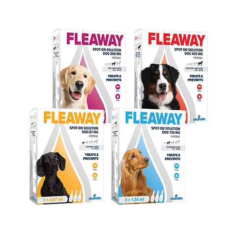 Rspca flea treatment for dogs clearance