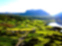 DJI_0021_Fotor.jpg