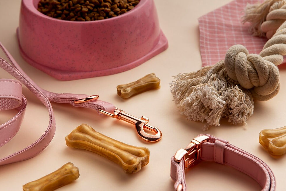 PVC Dog collar