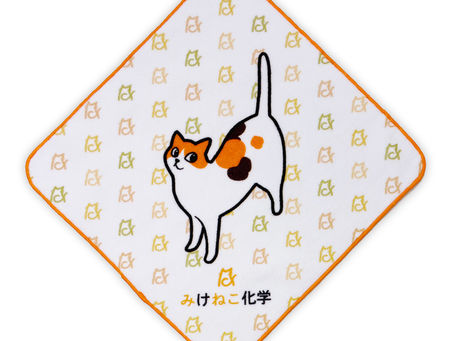 タオル