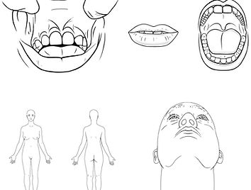 Illustration_Diagrams.jpg