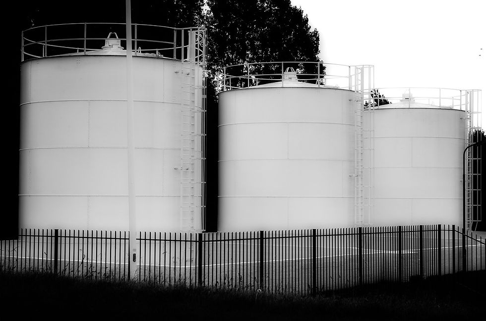 black-and-white-7393329_1280.jpg