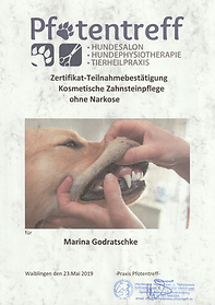 Scan_20240308 (4).png