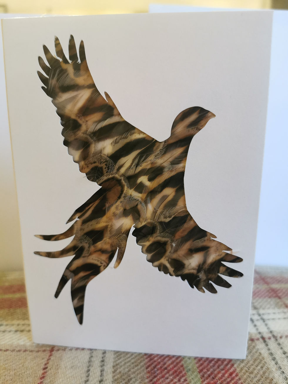Thumbnail: Flying Pheasant Notelet Cards A5