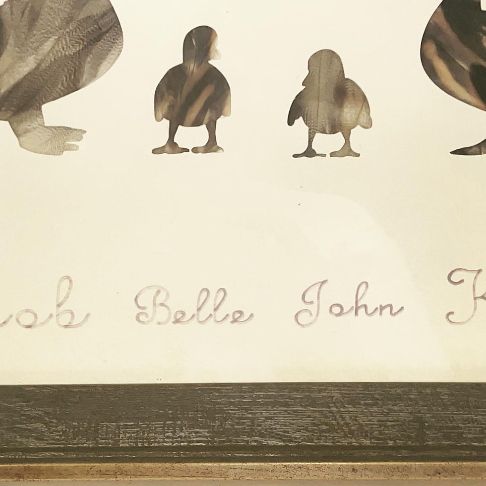 Thumbnail: Duck Family Portrait