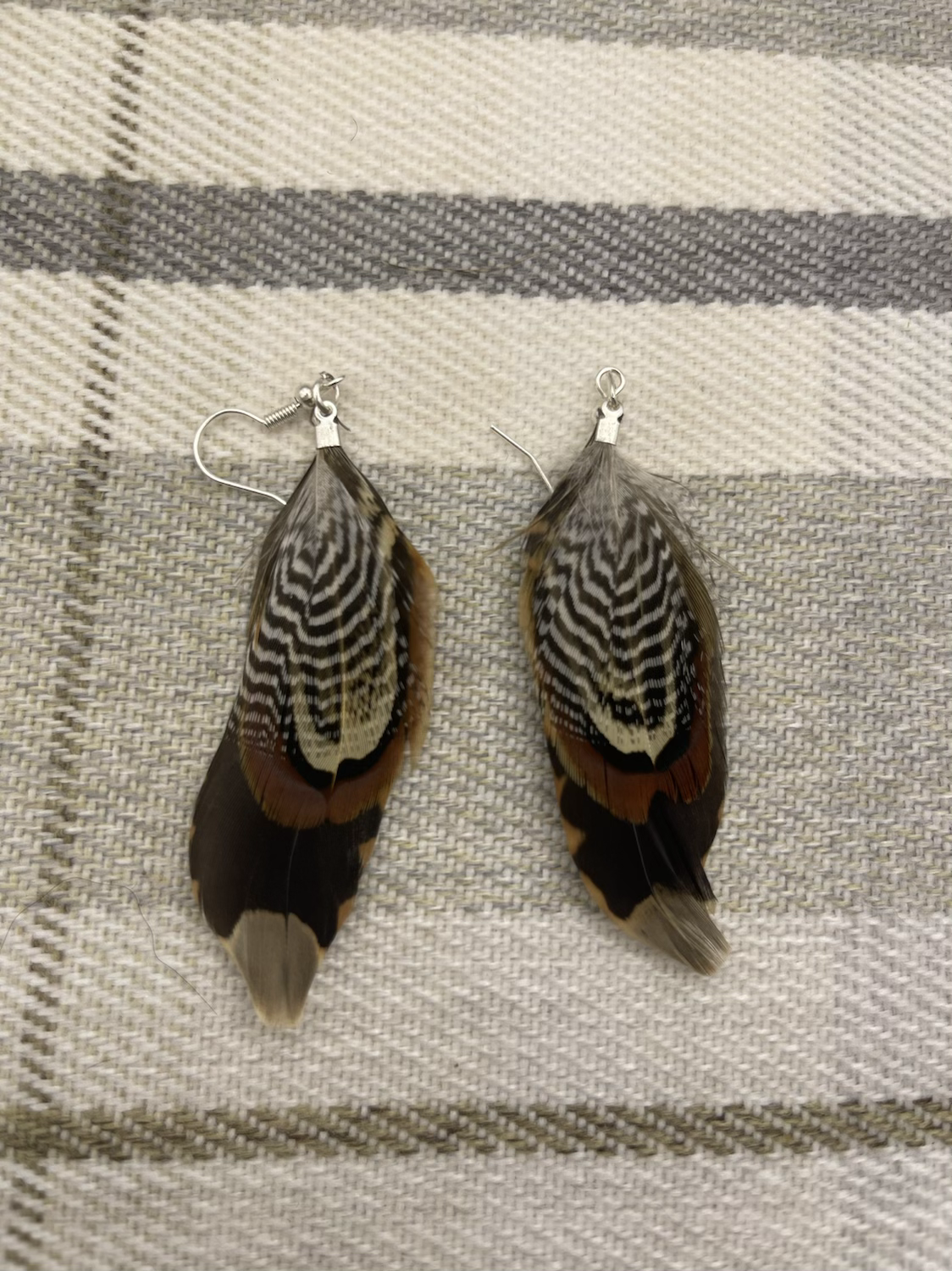 Feather Earrings - Cedar