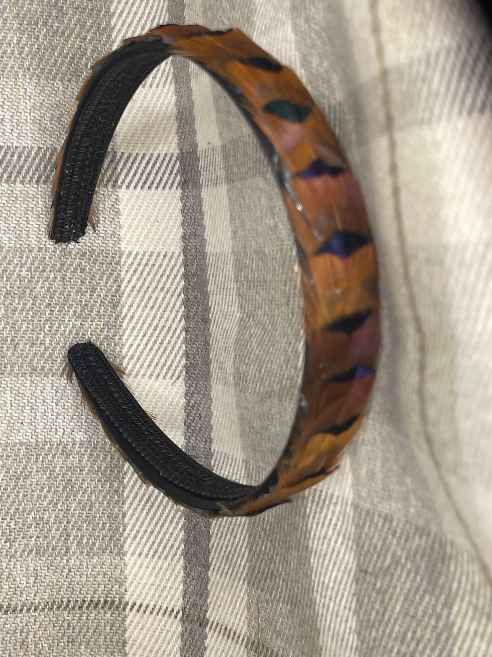 Thumbnail: Pheasant Feather headband