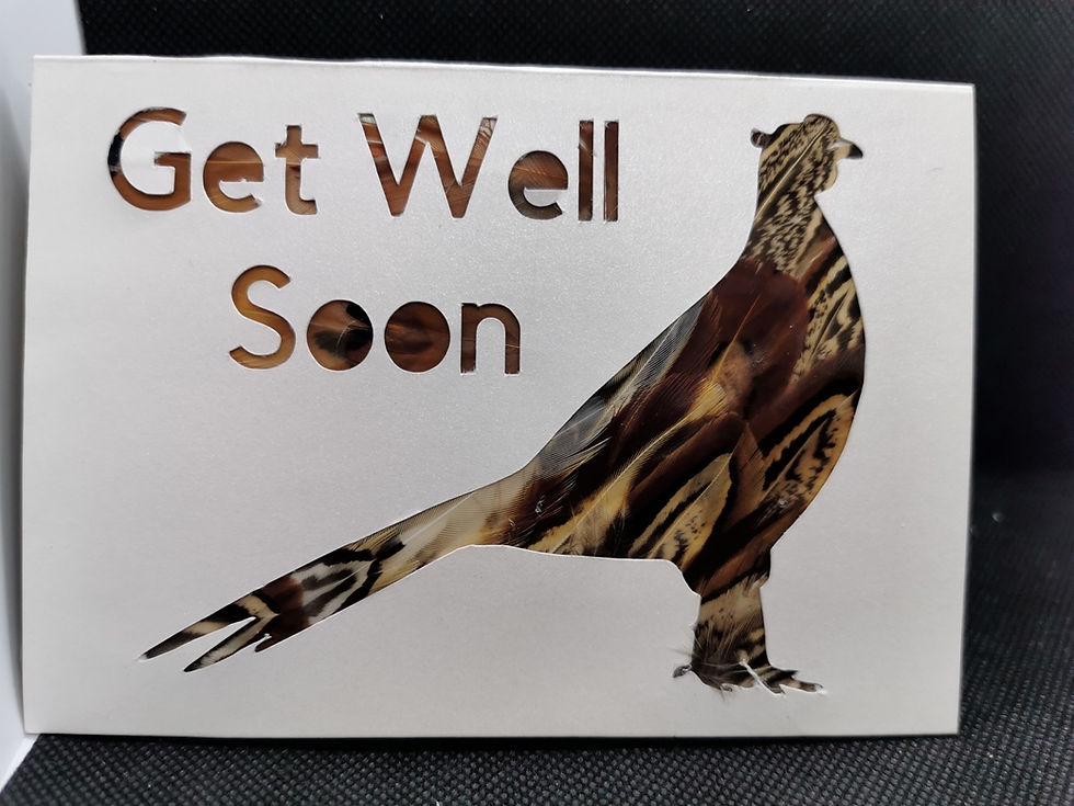 Thumbnail: Get Well Soon