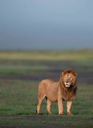On Target Safaris | Tanzania safari