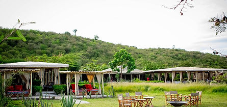 Accommodation: Zebra Plains Mara Camp