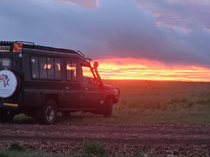best time to visit Tanzania for safari