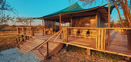 On Target Safaris | Tanzania safari