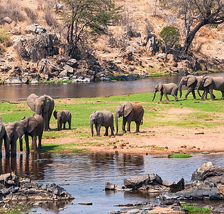Ruaha National Park Safari – Discover Tanzania’s Wild and Untouched Wilderness