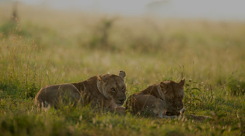 On Target Safaris | Tanzania safari