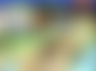 2020-2021 SPRING SEMESTER MAN-440 COURSE FINAL PROJECT & GRADUATION CEREMONY IN SL