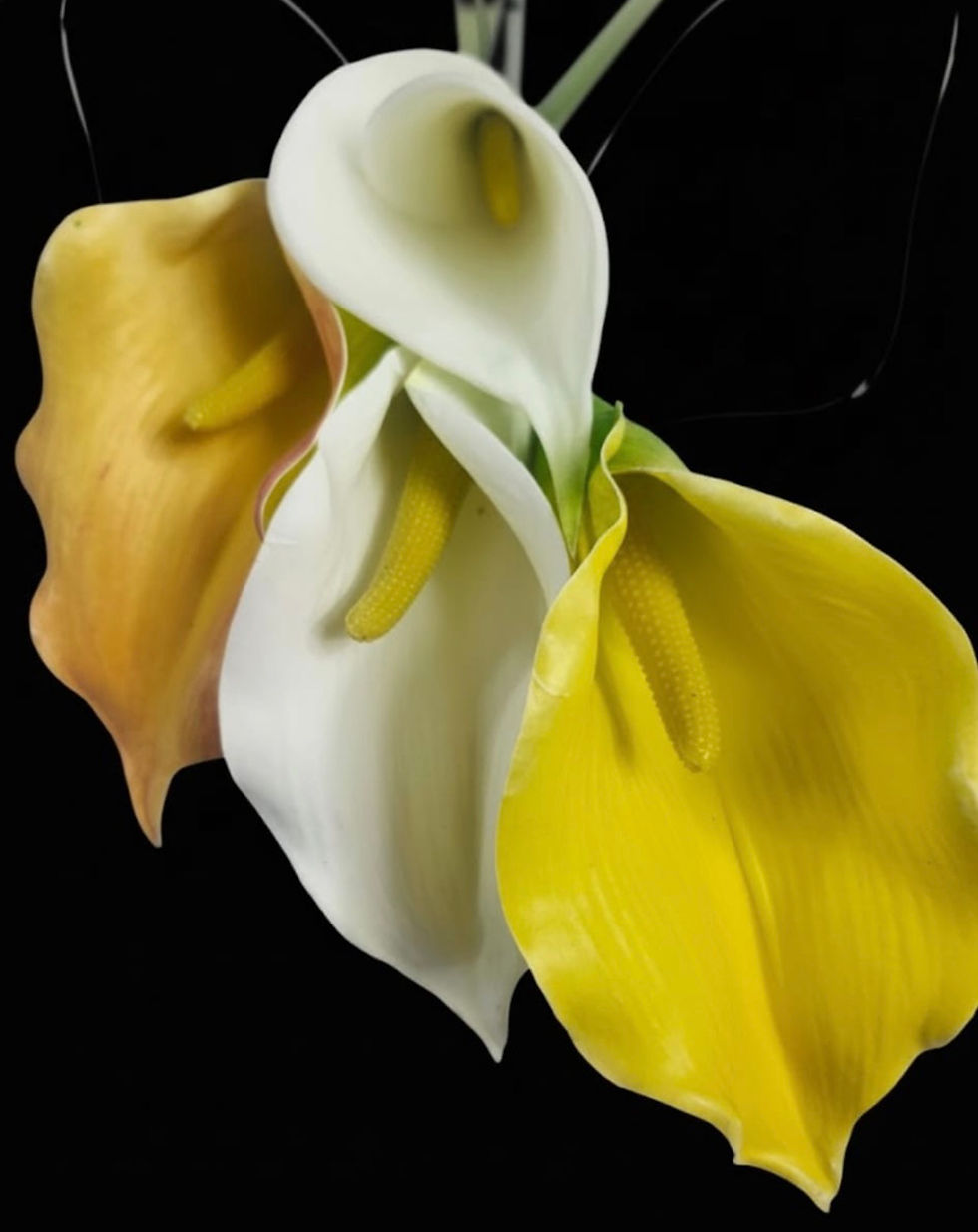 Thumbnail: Calla Lillies Style 1 (Quantity: 10)