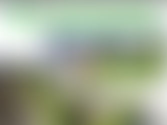 Nouveau Service : Visite de Terrain Guidée - Découvrez Votre Futur Chez Vous