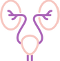 urology_edited.png