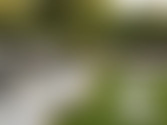 Outdoor Kitchen Ideas for UK Gardens