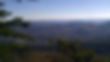 IMAG1075.jpg