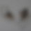 Thumbnail: SNOWDROP EARRINGS