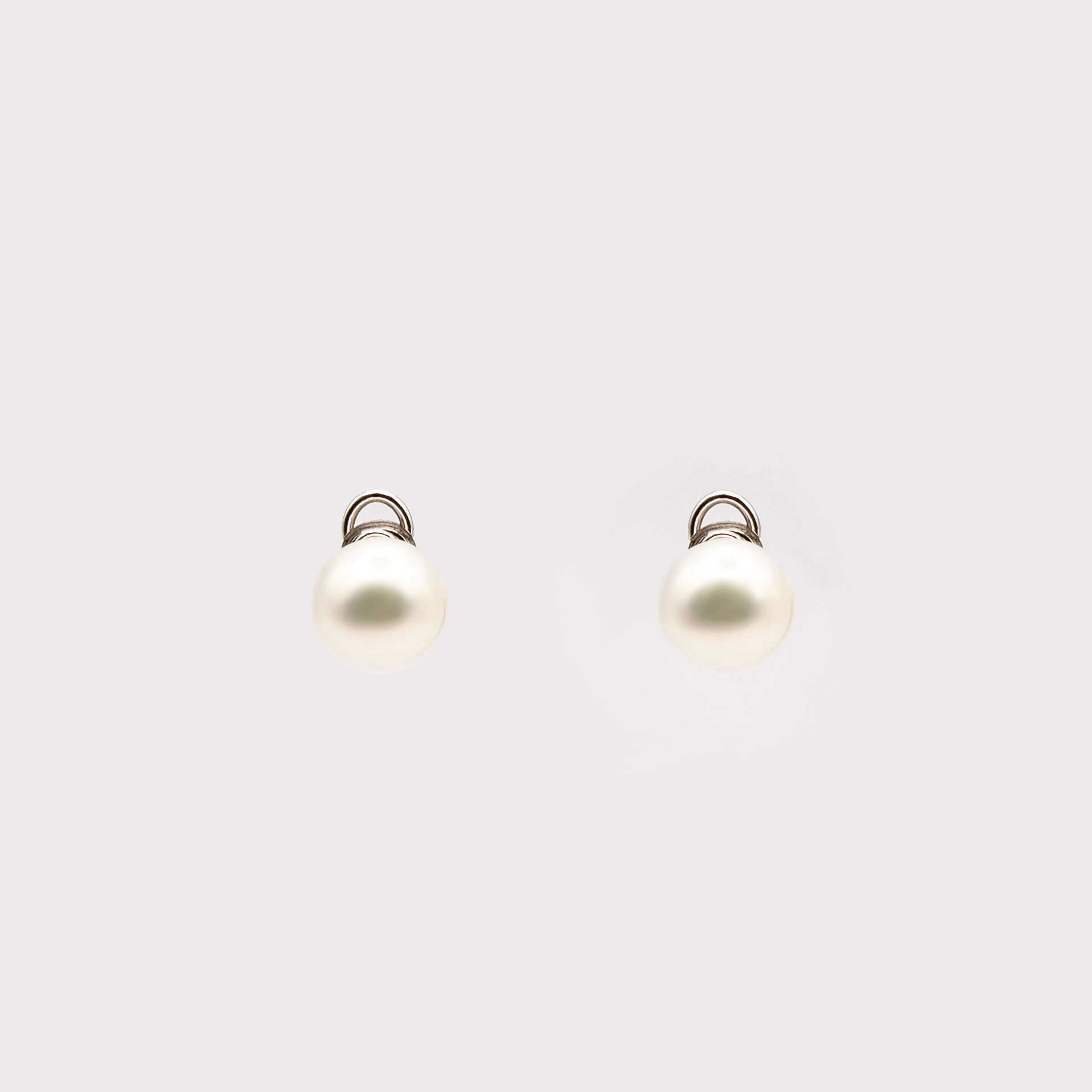 Australian South Sea Pearl Earrings in 18K white Gold