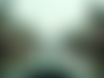 Kerala Munnar Honeymoon Package – A Romantic Escape into the Hills