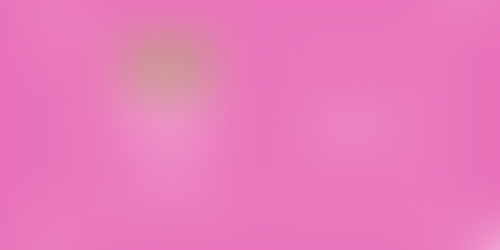 Cupom de Desconto Bem Te Vi – 10% OFF em todo o site com o código DRI10 ✨