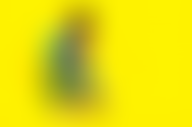 Beyond ABCs: Why Social-Emotional Learning Matters in Early Childhood Education (Emoti Labs Perspective)