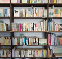shelves with books