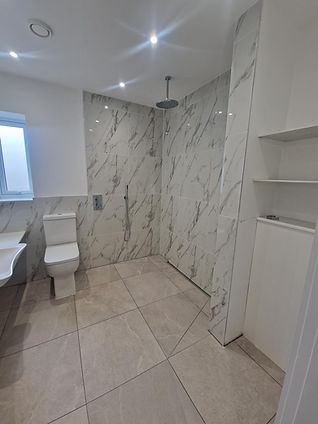 Walk-in Shower area with linear drainage, overhead Rainfall shower and hand held Shower