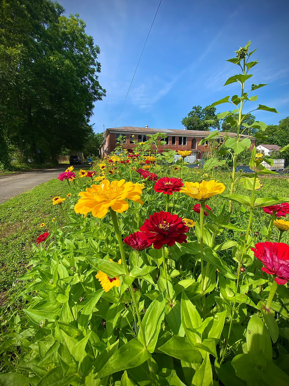 🌱 Last-Minute Oasis Garden Workday – Join Us Tomorrow!