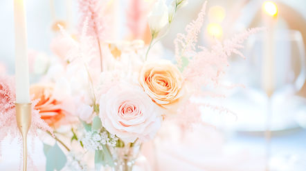 AdobeStock_954042117_resized_edited_edited.jpg