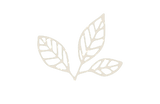 Lisa Högerl_Therapeutin mit für Leib und Seele_Logo