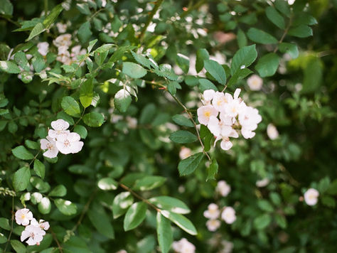 Why Vegan Meal Prep Is Growing in Popularity in Annapolis