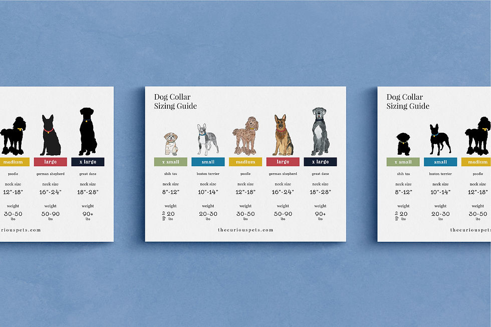 Illustrated dog collar sizing guide designed for retail displays, helping customers compare dog breeds, measurements, and collar sizes at a glance.