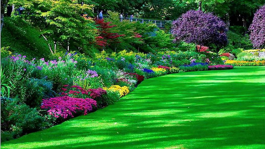 Spring-Awesome-Flower-Garden-Pictures.jp
