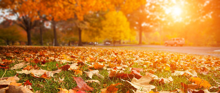 October-picture.jpg