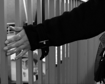 BLACK LAKE GIF.gif