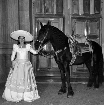 Copia de IMG_6380.jpeg